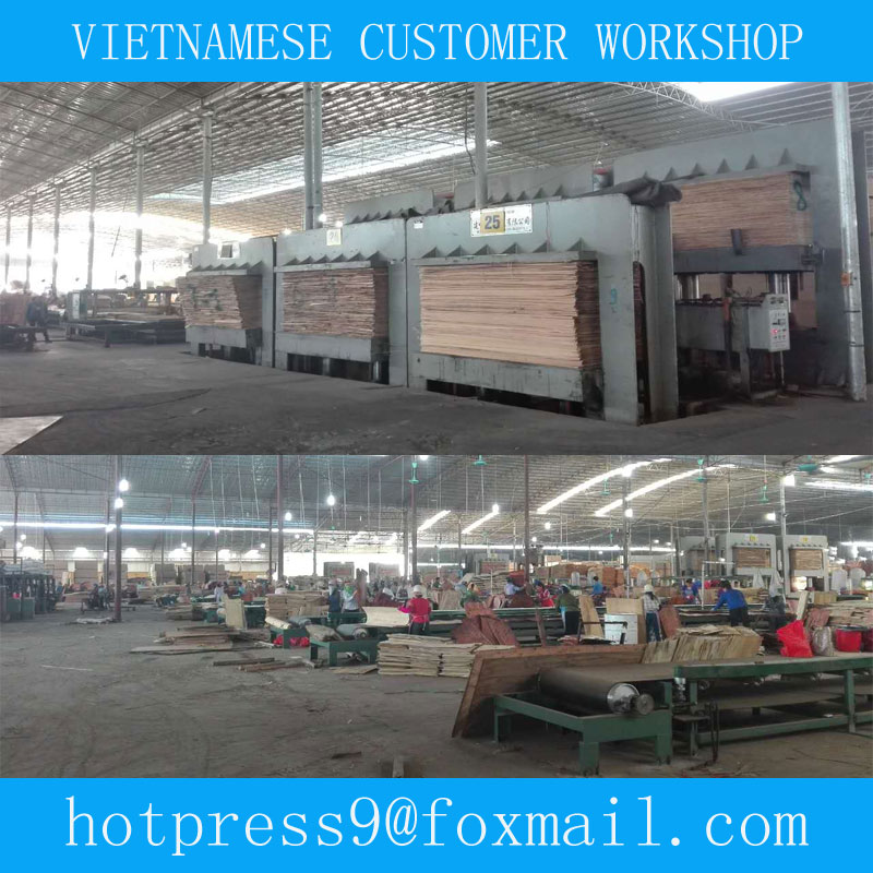Vietnamese customer workshop